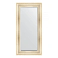 Зеркало в багетной раме Evoform Exclusive BY 3497 59 x 119 см, травленое серебро Зеркало в багетной раме Evoform Exclusive BY 3497 59 x 119 см, травленое серебро