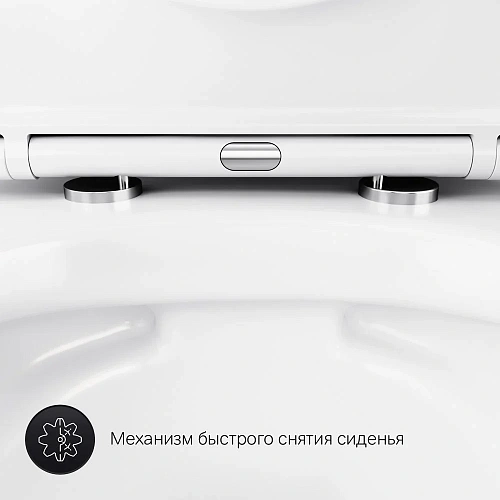 Унитаз подвесной AM.PM Sense C741701SC FlashClean с сиденьем микролифт Унитаз подвесной AM.PM Sense C741701SC FlashClean с сиденьем микролифт