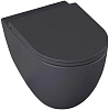 Унитаз подвесной Allen Brau Reality 4.32006.AN антрацит без сиденья