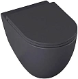 Унитаз подвесной Allen Brau Reality 4.32006.AN антрацит без сиденья Унитаз подвесной Allen Brau Reality 4.32006.AN антрацит без сиденья
