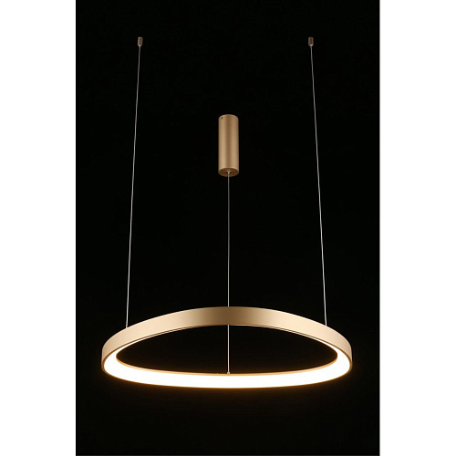 Люстра подвесная Aployt Zula APL.022.03.48 Люстра подвесная Aployt Zula APL.022.03.48