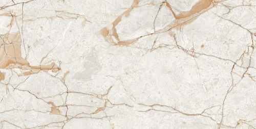 Керамогранит Neodom Ambassador Rosalia Glossy 60x120 CV20196 Керамогранит Neodom Ambassador Rosalia Glossy 60x120 CV20196