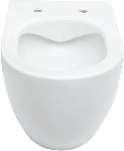 Комплект унитаза Allen Brau Reality 4.32006.20/8.9466.0.000.000.1 (00316510) с инсталляцией, белый глянец Комплект унитаза Allen Brau Reality 4.32006.20/8.9466.0.000.000.1 (00316510) с инсталляцией, белый глянец