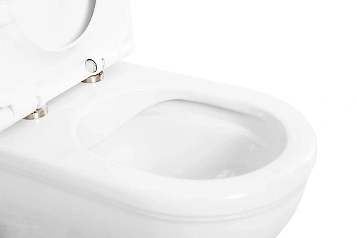 Унитаз напольный CEZARES GIUBILEO CZR-165-CPR/CZR-6045-SC безободковый с сиденьем Унитаз напольный CEZARES GIUBILEO CZR-165-CPR/CZR-6045-SC безободковый с сиденьем