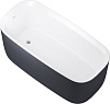 Картинка анонса товара «акриловая ванна allen brau infinity 170x78 2.21003.21/am белый матовый (панель антрацит)»