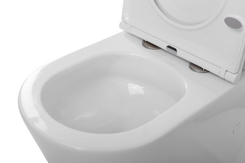 Унитаз напольный BelBagno FLAY-TOR BB2149CP-TOR/BB2149T/BB2111SC безободковый с сиденьем Унитаз напольный BelBagno FLAY-TOR BB2149CP-TOR/BB2149T/BB2111SC безободковый с сиденьем