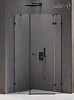 Душевой уголок NEW TRENDY AVEXA BLACK R 100x80x200 EXK-3883 черный