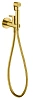 Гигиенический душ CEZARES ECO-DIF-BORO со смесителем, брашированное золото