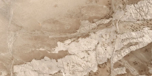 Керамогранит Neodom Sale Monaco Brown Polished 60x120 CV20189 Керамогранит Neodom Sale Monaco Brown Polished 60x120 CV20189