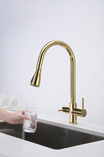 Смеситель для кухни Paulmark Lange золото La214212-G Смеситель для кухни Paulmark Lange золото La214212-G