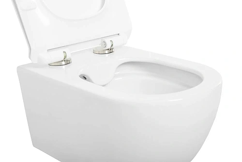 Унитаз подвесной CEZARES MOLVENO CZR-2468-TH-R/CZR-2011-SC безободковый с сиденьем Унитаз подвесной CEZARES MOLVENO CZR-2468-TH-R/CZR-2011-SC безободковый с сиденьем