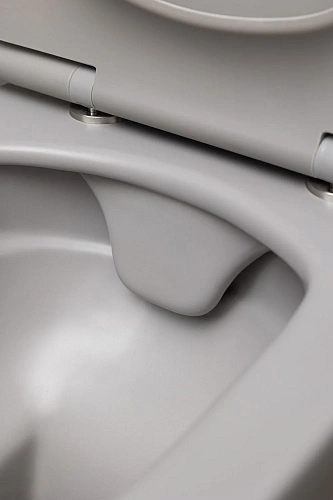 Унитаз подвесной Allen Brau Liberty 4.33007.AN с крышкой, антрацит Унитаз подвесной Allen Brau Liberty 4.33007.AN с крышкой, антрацит