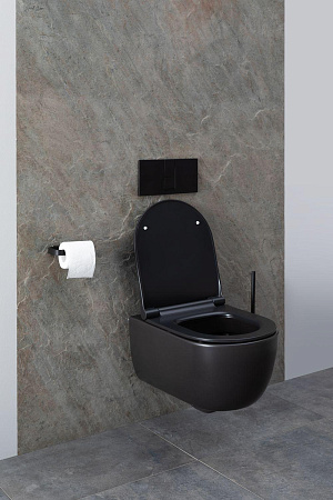 Унитаз подвесной Allen Brau Priority 4.31001.31 с крышкой, черный матовый