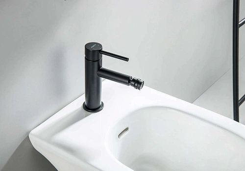 Смеситель для биде Aquatek ЕВРОПА AQ1318MB Черный матовый Смеситель для биде Aquatek ЕВРОПА AQ1318MB Черный матовый