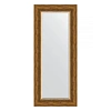 Зеркало в багетной раме Evoform Exclusive BY 3524 59 x 139 см, травленая бронза