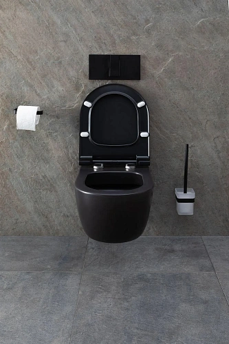 Унитаз подвесной Allen Brau Priority 4.31001.31 с крышкой, черный матовый Унитаз подвесной Allen Brau Priority 4.31001.31 с крышкой, черный матовый