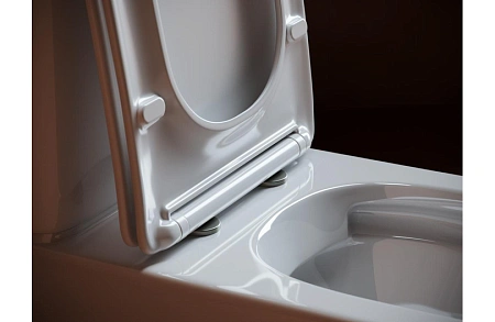 Чаша напольного унитаза Ceramica Nova ALFA Rimless CN9002-B белый с сиденьем Чаша напольного унитаза Ceramica Nova ALFA Rimless CN9002-B белый с сиденьем