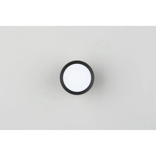 Светильник настенно-потолочный Omnilux Capurso OML-102439-05 Светильник настенно-потолочный Omnilux Capurso OML-102439-05