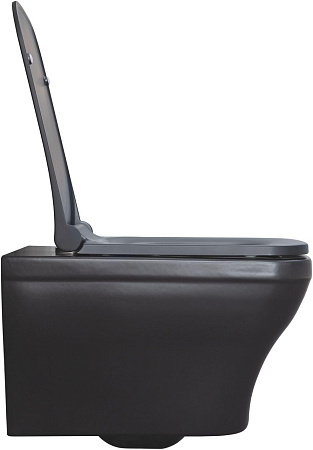 Унитаз подвесной Allen Brau Infinity 4.21011.31 с крышкой, черный матовый