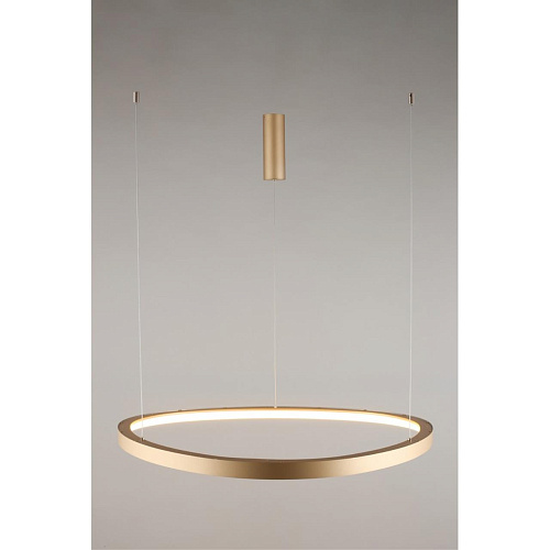 Люстра подвесная Aployt Zula APL.022.03.60 Люстра подвесная Aployt Zula APL.022.03.60