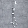 Душевая система WasserKRAFT A188.257.155.WM T с термостатом
