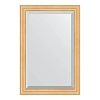 Зеркало в багетной раме Evoform Exclusive BY 1173 61 x 91 см, сосна Зеркало в багетной раме Evoform Exclusive BY 1173 61 x 91 см, сосна