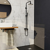 Картинка анонса товара «душевая система rgw shower panels sp-31b черный»