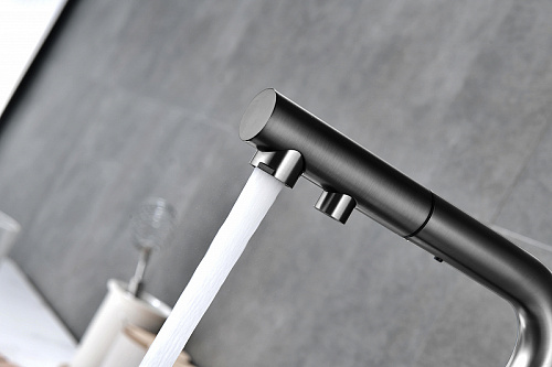 Смеситель для кухни Paulmark SERPENTINE вороненая сталь Se213222-GM Смеситель для кухни Paulmark SERPENTINE вороненая сталь Se213222-GM
