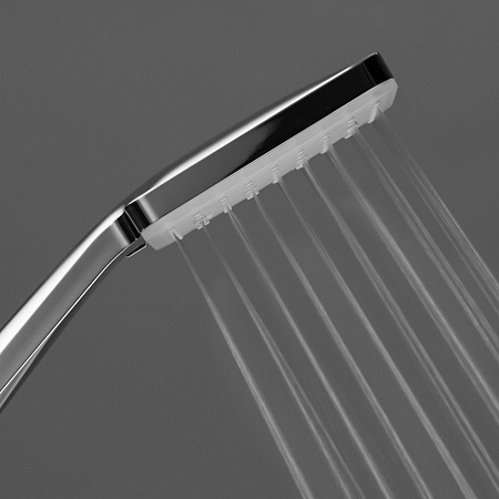 Душевая лейка Swedbe Calypso 5095