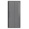 Картинка анонса товара «душевая дверь niagara nova ng-85-10tb (100x195) черный матовый, стекло тонированное»