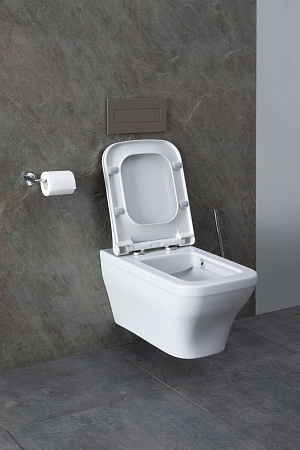 Унитаз подвесной Allen Brau Infinity 4.21011.20 с крышкой, белый глянец