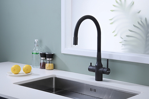 Смеситель для кухни Paulmark SALIX антрацит Sa213419-AN Смеситель для кухни Paulmark SALIX антрацит Sa213419-AN