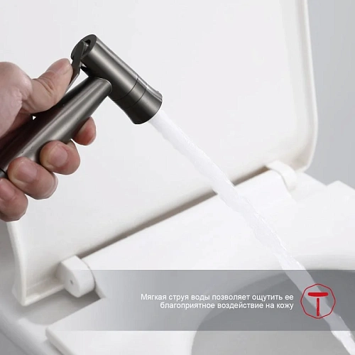 Гигиенический душ Raglo R10.52.09 встраиваемый, графит Гигиенический душ Raglo R10.52.09 встраиваемый, графит