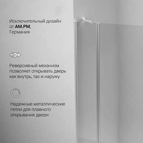 Душевая дверь AM.PM Sunny W87G-120-1P-MT распашная 120x190 профиль серебро, стекло прозрачное Душевая дверь AM.PM Sunny W87G-120-1P-MT распашная 120x190 профиль серебро, стекло прозрачное