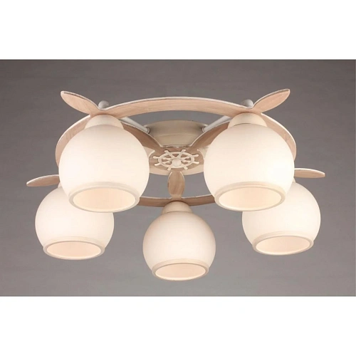 Люстра потолочная Omnilux Fronteira OML-50517-05 Люстра потолочная Omnilux Fronteira OML-50517-05