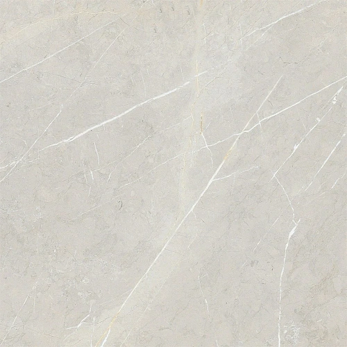 Керамогранит NT Ceramic Bright and Shiny NTT9101 BB6NTT9101P 60x60 Керамогранит NT Ceramic Bright and Shiny NTT9101 BB6NTT9101P 60x60