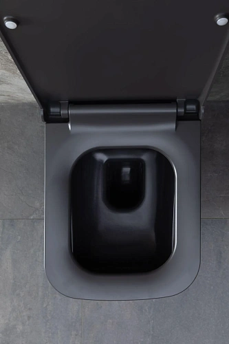 Унитаз подвесной Allen Brau Infinity 4.21011.AN с крышкой, антрацит Унитаз подвесной Allen Brau Infinity 4.21011.AN с крышкой, антрацит