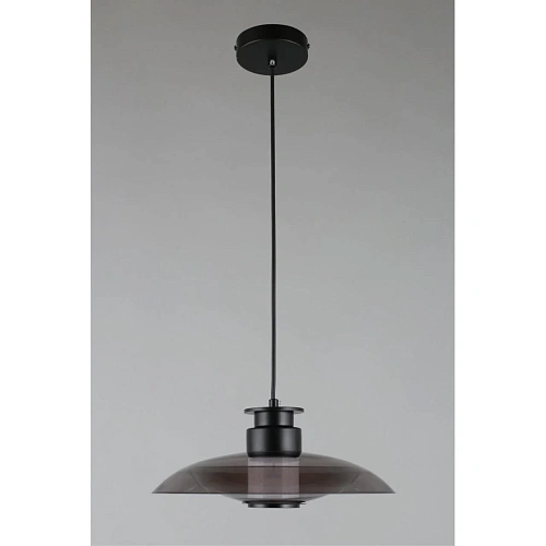 Светильник подвесной Aployt Stefa APL.648.06.10 Светильник подвесной Aployt Stefa APL.648.06.10