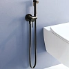 Гигиенический душ RGW Shower Panels SP-211B черный Гигиенический душ RGW Shower Panels SP-211B черный