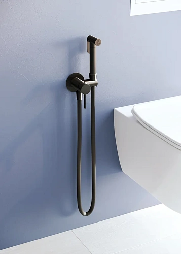 Гигиенический душ RGW Shower Panels SP-211B черный Гигиенический душ RGW Shower Panels SP-211B черный