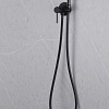 Гигиенический душ ABBER Wasser Kreis AF8125B черный матовый Гигиенический душ ABBER Wasser Kreis AF8125B черный матовый