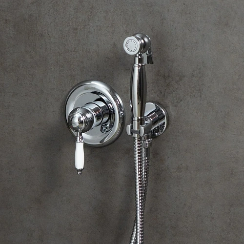 Гигиенический душ Lemark Villa LM4819C, встраиваемый, хром Гигиенический душ Lemark Villa LM4819C, встраиваемый, хром