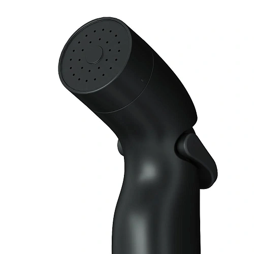 Гигиеническая лейка AM.PM AM.PM F0202022 со шлангом и держателем, черный Гигиеническая лейка AM.PM AM.PM F0202022 со шлангом и держателем, черный