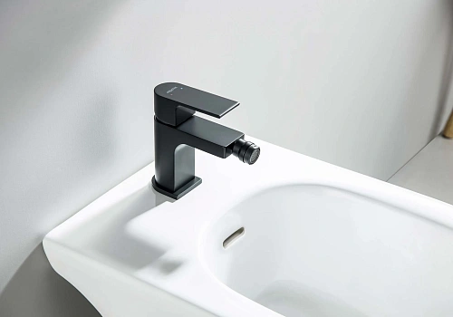 Смеситель для биде Aquatek ЛИРА AQ1418MB Черный матовый Смеситель для биде Aquatek ЛИРА AQ1418MB Черный матовый