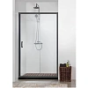 Душевая дверь Aquatek AQ ARI RA 10020BL раздвижная1000x2000 профиль черный, стекло прозрачное Душевая дверь Aquatek AQ ARI RA 10020BL раздвижная1000x2000 профиль черный, стекло прозрачное
