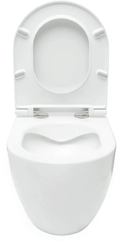 Комплект унитаза Allen Brau Reality 4.32006.20/8.9466.0.000.000.1 (00316510) с инсталляцией, белый глянец Комплект унитаза Allen Brau Reality 4.32006.20/8.9466.0.000.000.1 (00316510) с инсталляцией, белый глянец