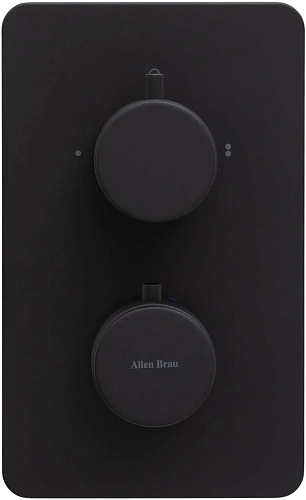 Смеситель для ванны Allen Brau Priority 5.31213-31 (с внутренней частью, 2 выхода) черный матовый Смеситель для ванны Allen Brau Priority 5.31213-31 (с внутренней частью, 2 выхода) черный матовый