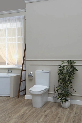 Чаша напольного унитаза Aquanet Rimless Nova-C1 BL-101N-TPT-A NOVA-C1 с сиденьем Чаша напольного унитаза Aquanet Rimless Nova-C1 BL-101N-TPT-A NOVA-C1 с сиденьем