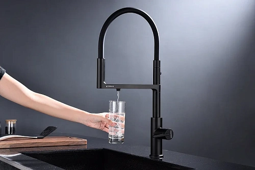 Смеситель для кухни Paulmark TORNADO антрацит To213402-AN Смеситель для кухни Paulmark TORNADO антрацит To213402-AN