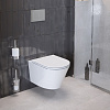 Унитаз подвесной Ambassador Ritz 233K19003RS (530x360x350) безободковый с сиденьем Унитаз подвесной Ambassador Ritz 233K19003RS (530x360x350) безободковый с сиденьем